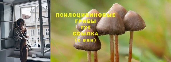 винт Белоозёрский